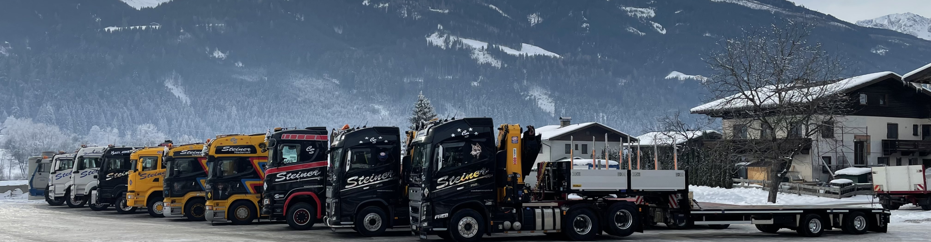 Steiner Transport und Technik GmbH cover