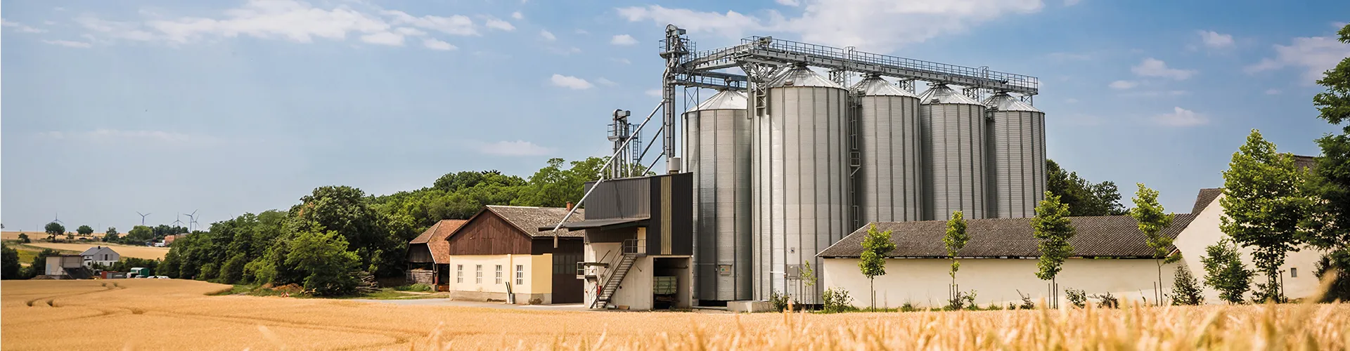 Guts- und Forstbetrieb Wilfersdorf cover