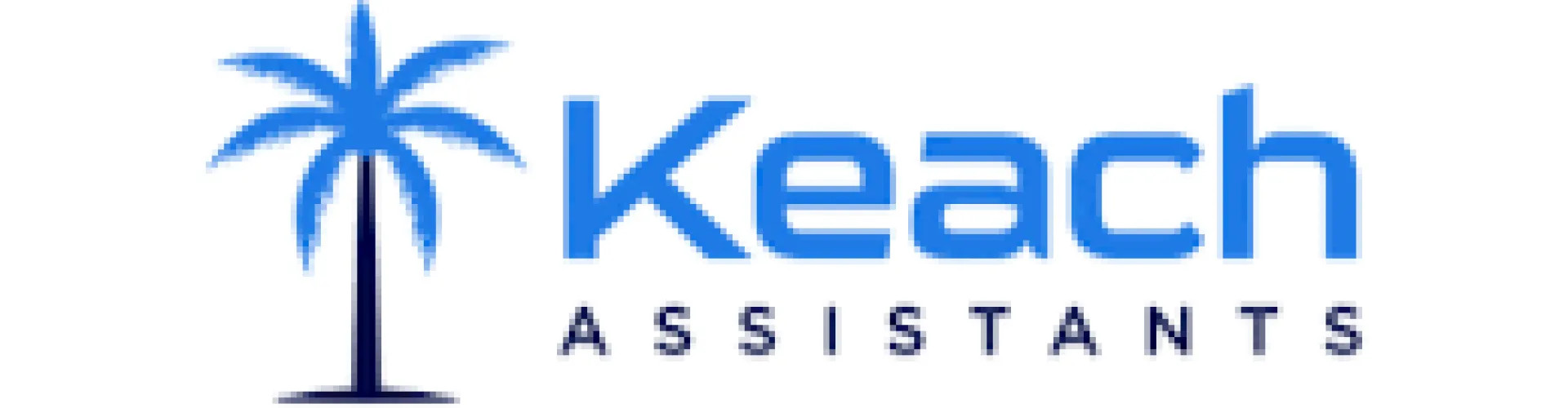 Amazon Virtual Assistant cover