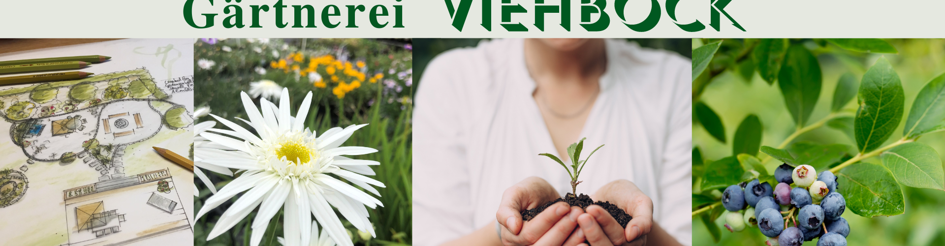 Garten Viehböck GmbH cover