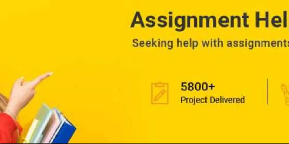 new assignment help uk